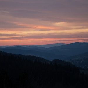 Meet your Posher, Ella